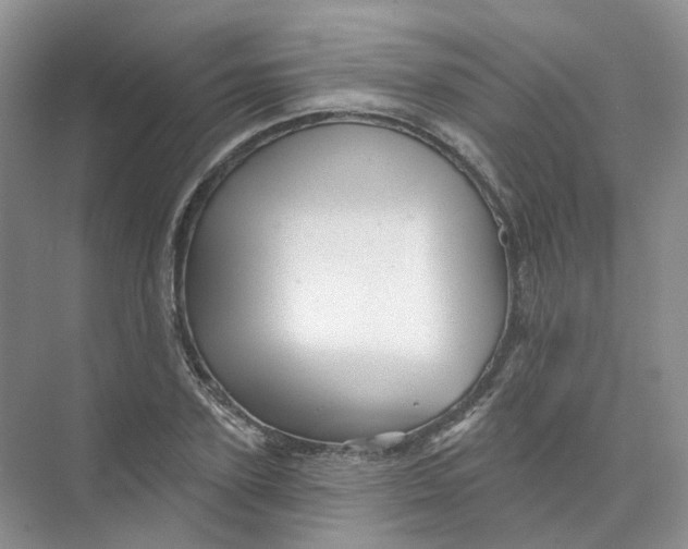 X0000074040931200609181949