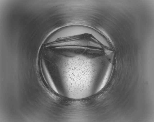 X0000074040932200609181949