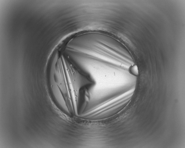 X0000074040934200609181949