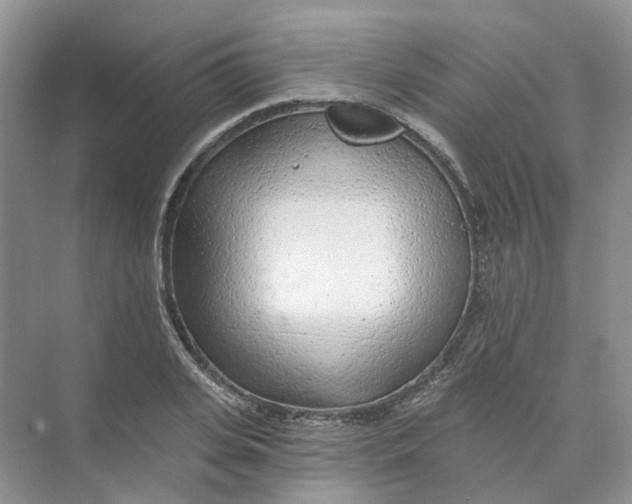 X0000074040935200609181949