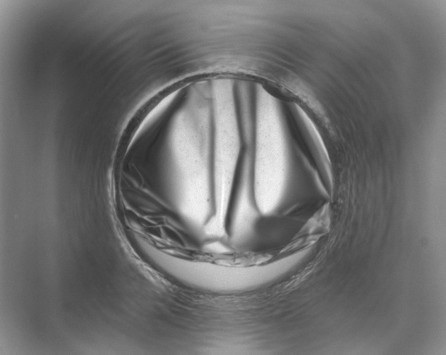 X0000074040936200609181949