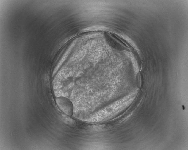 X0000074040937200609181949