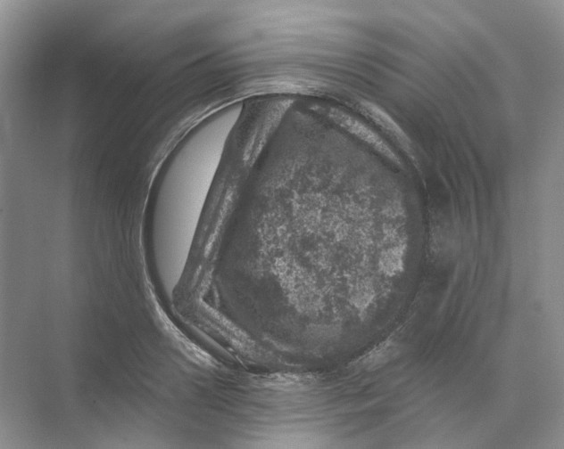 X0000074040938200609181949