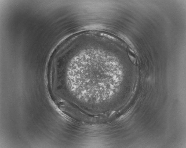 X0000074040939200609181949