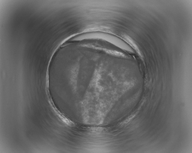 X0000074040940200609181949