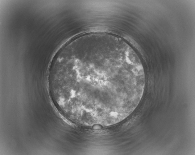 X0000074040941200609181949