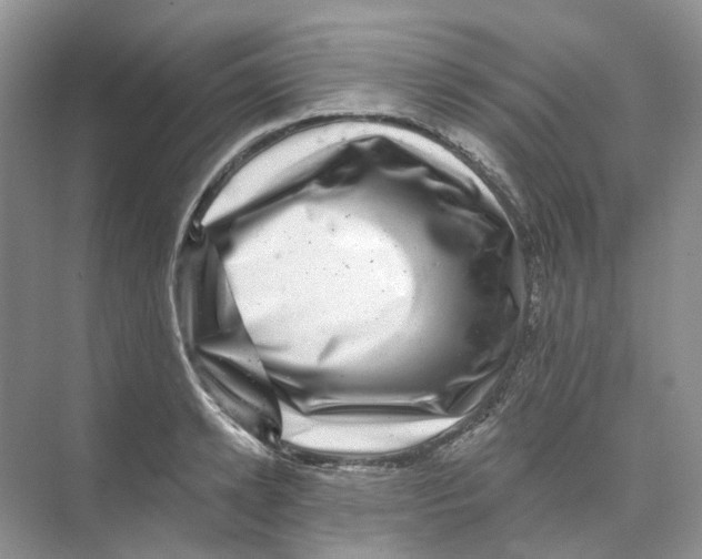 X0000074040942200609181949