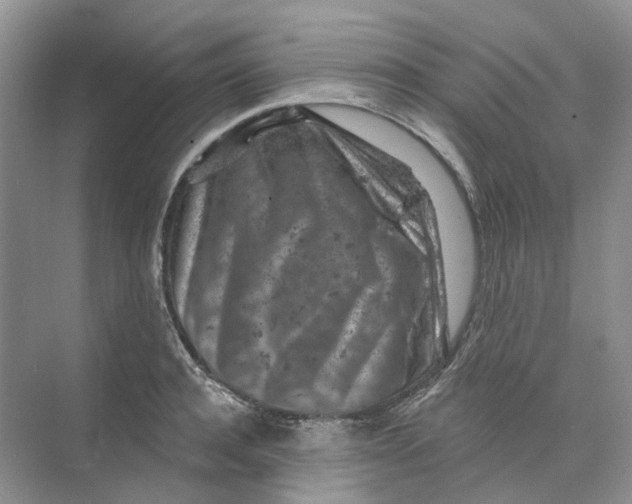 X0000074040944200609181949