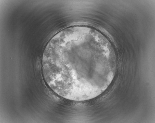 X0000074040945200609181949