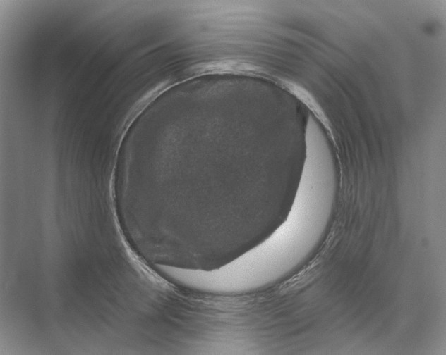 X0000074040946200609181949