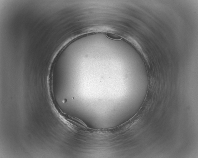 X0000074040947200609181949