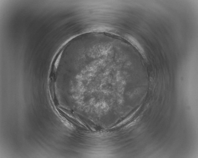 X0000074040948200609181949