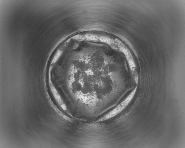 X0000074040949200609181949