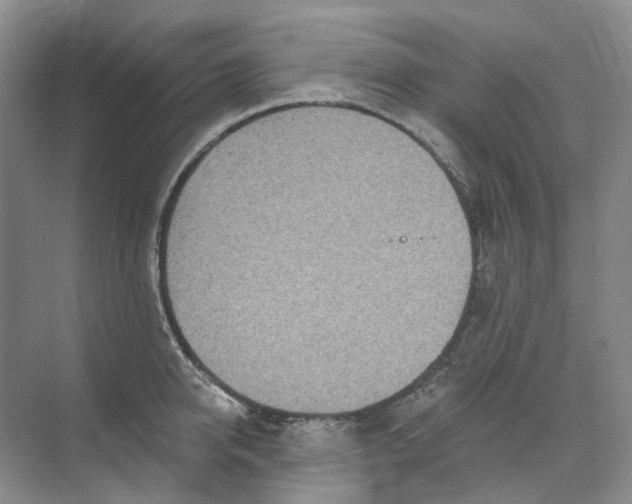 X0000074040950200609181949