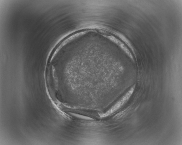 X0000074040951200609181949