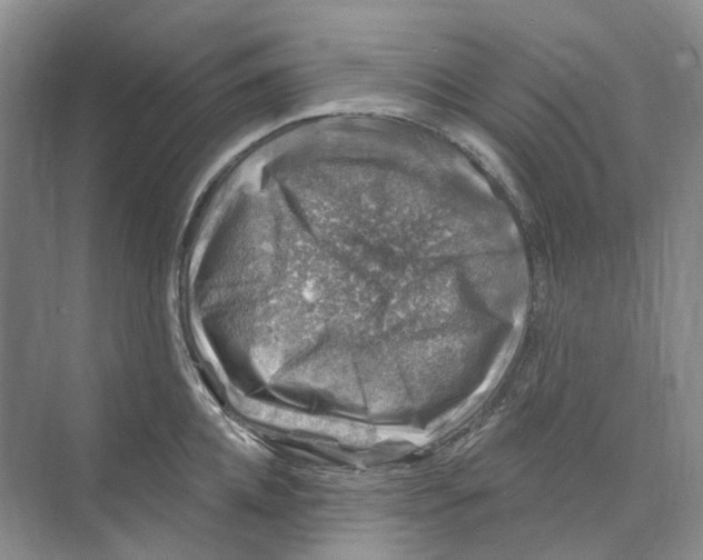 X0000074040952200609181949