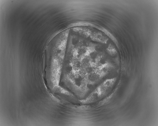 X0000074040953200609181949