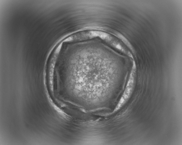 X0000074040955200609181949