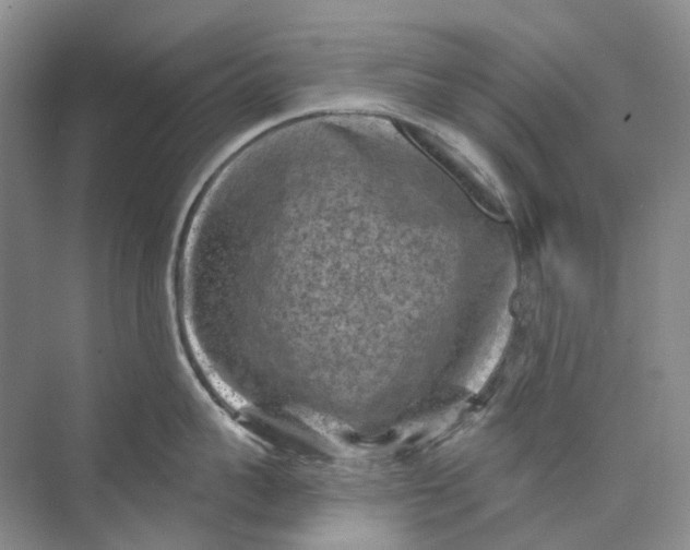 X0000074040959200609181949