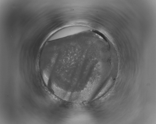 X0000074040960200609181949