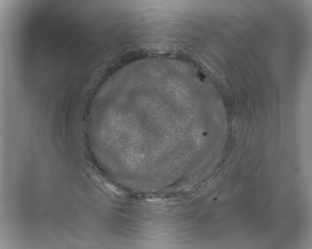 X0000074040961200609181948