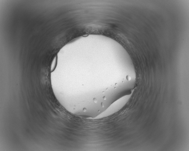 X0000074040964200609181948