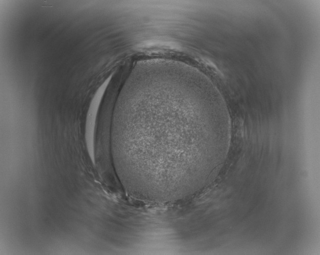 X0000074040965200609181948