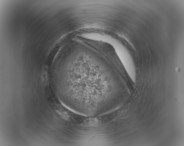 X0000074040968200609181948