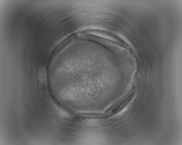 X0000074040969200609181948