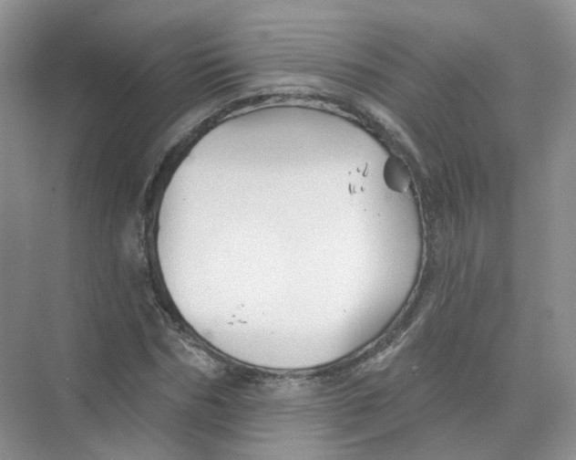 X0000074040970200609181948