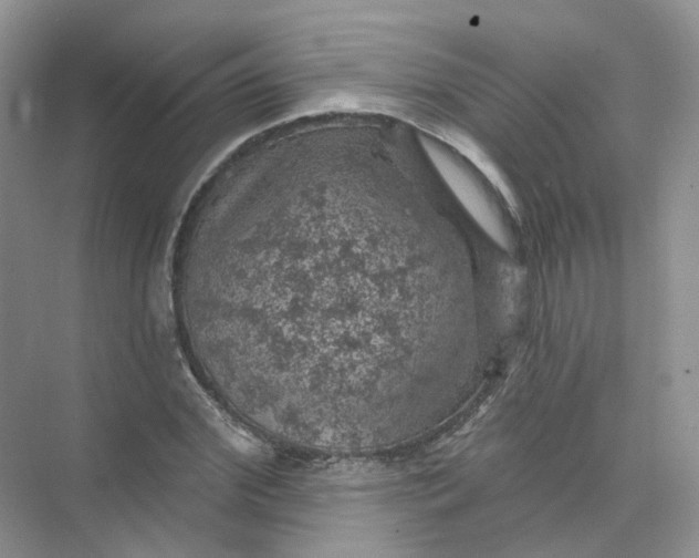 X0000074040972200609181948