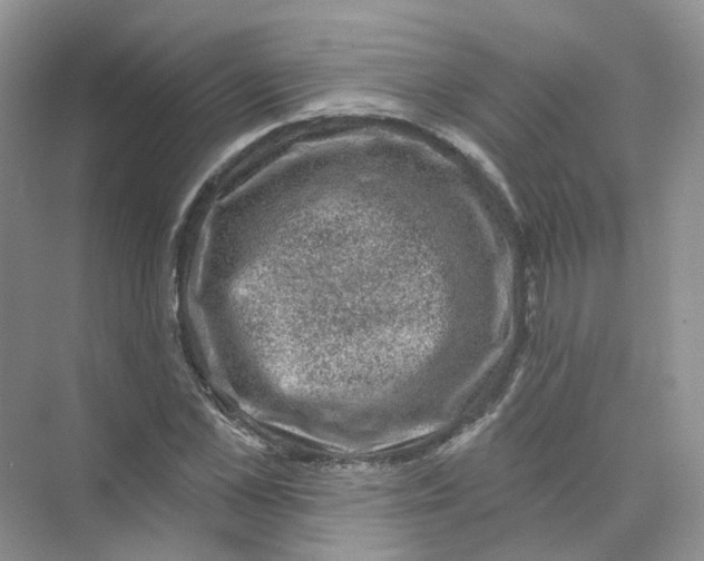 X0000074040973200609181948