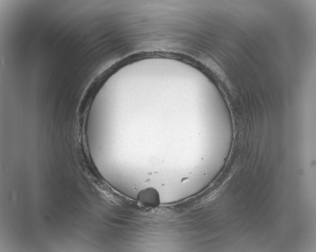 X0000074040974200609181948