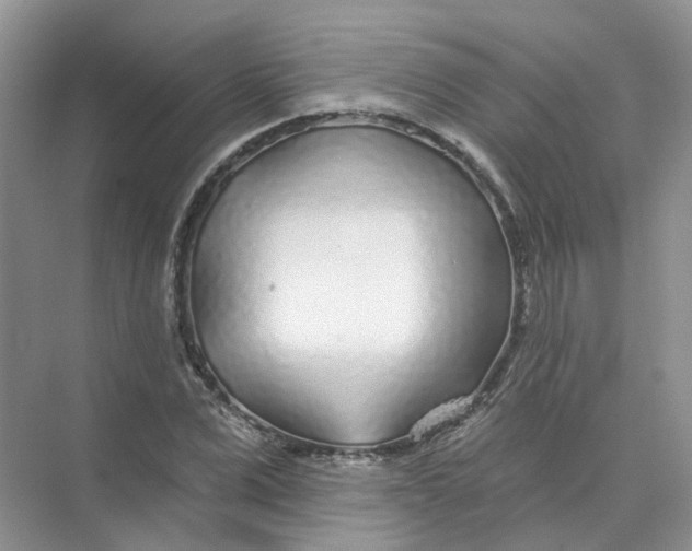 X0000074040975200609181948