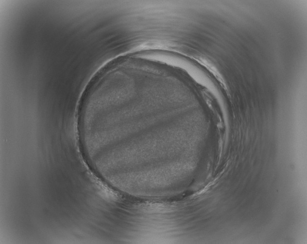 X0000074040976200609181948