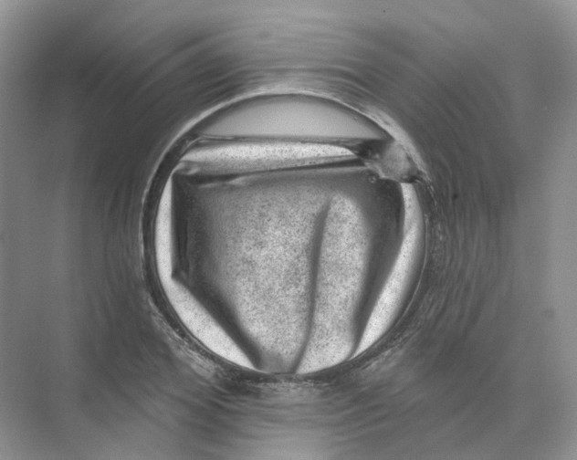 X0000074040980200609181948