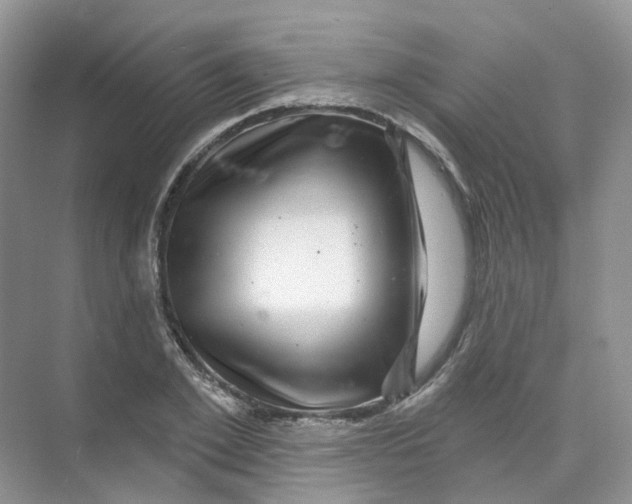 X0000074040981200609181948