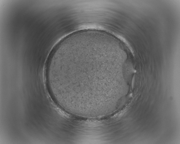 X0000074040983200609181948