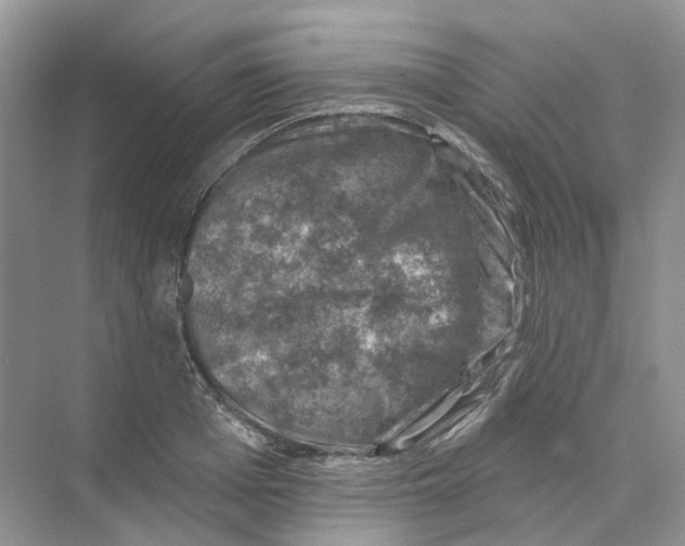 X0000074040985200609181948