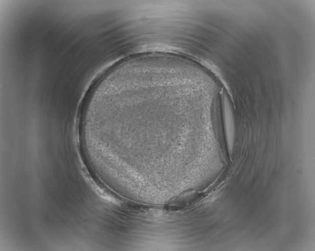 X0000074040987200609181948