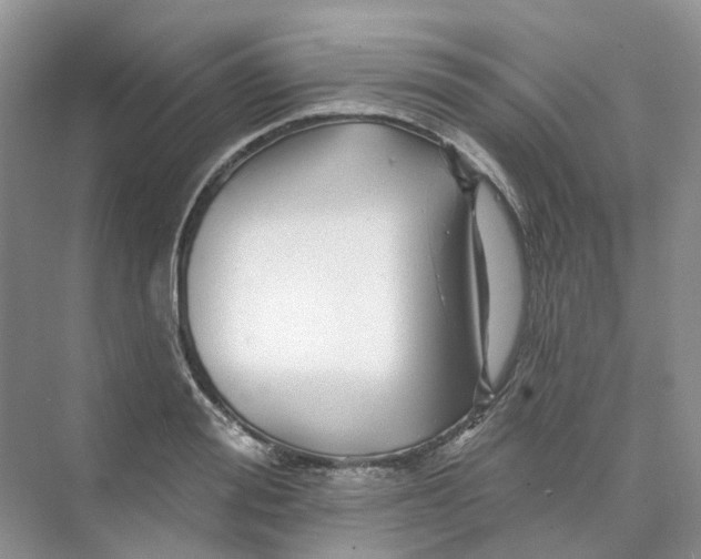 X0000074040988200609181948