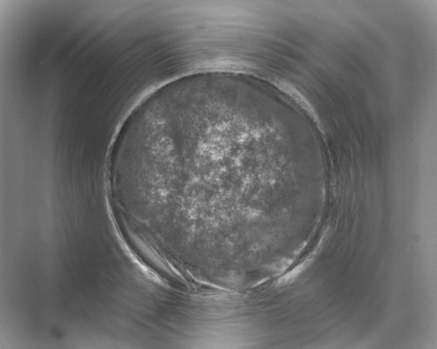 X0000074040989200609181948