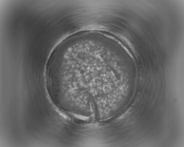 X0000074040990200609181948