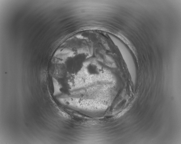 X0000074040993200609181948