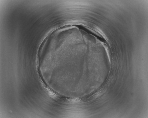 X0000074040994200609181948