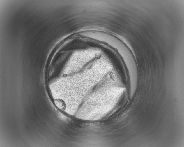 X0000074040995200609181948