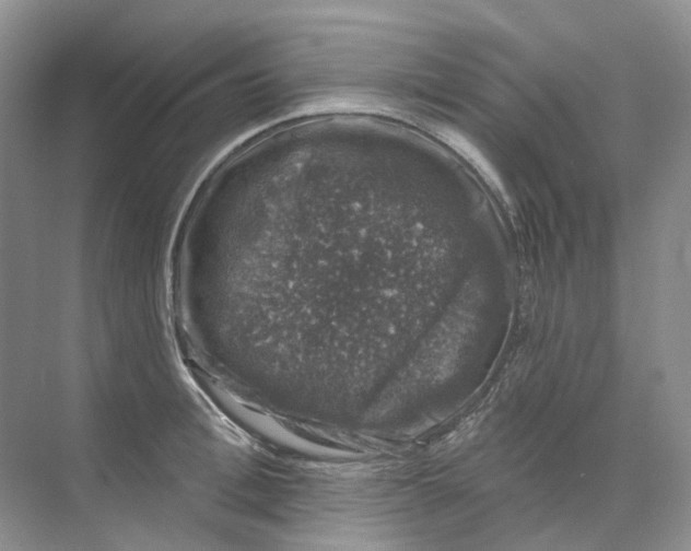 X0000074040996200609181948