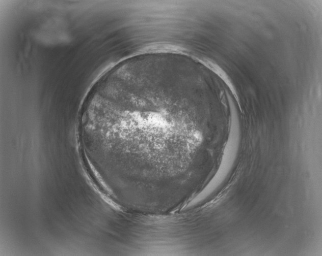 X0000074040997200609181948