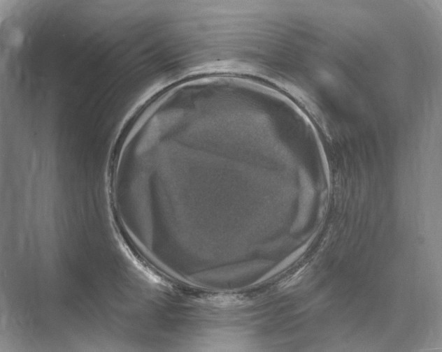 X0000074040998200609181948