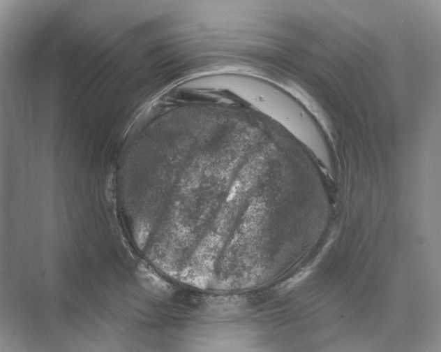 X0000074041001200609181948